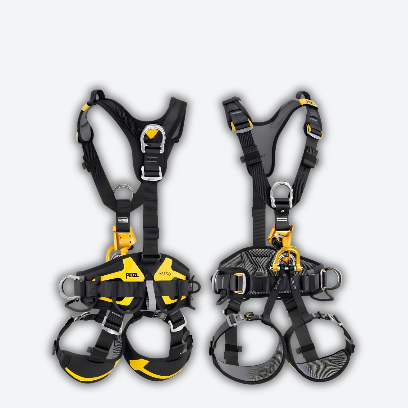 Body Harness