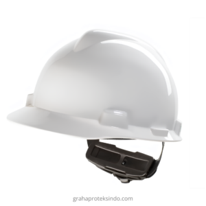 Msa Vgard