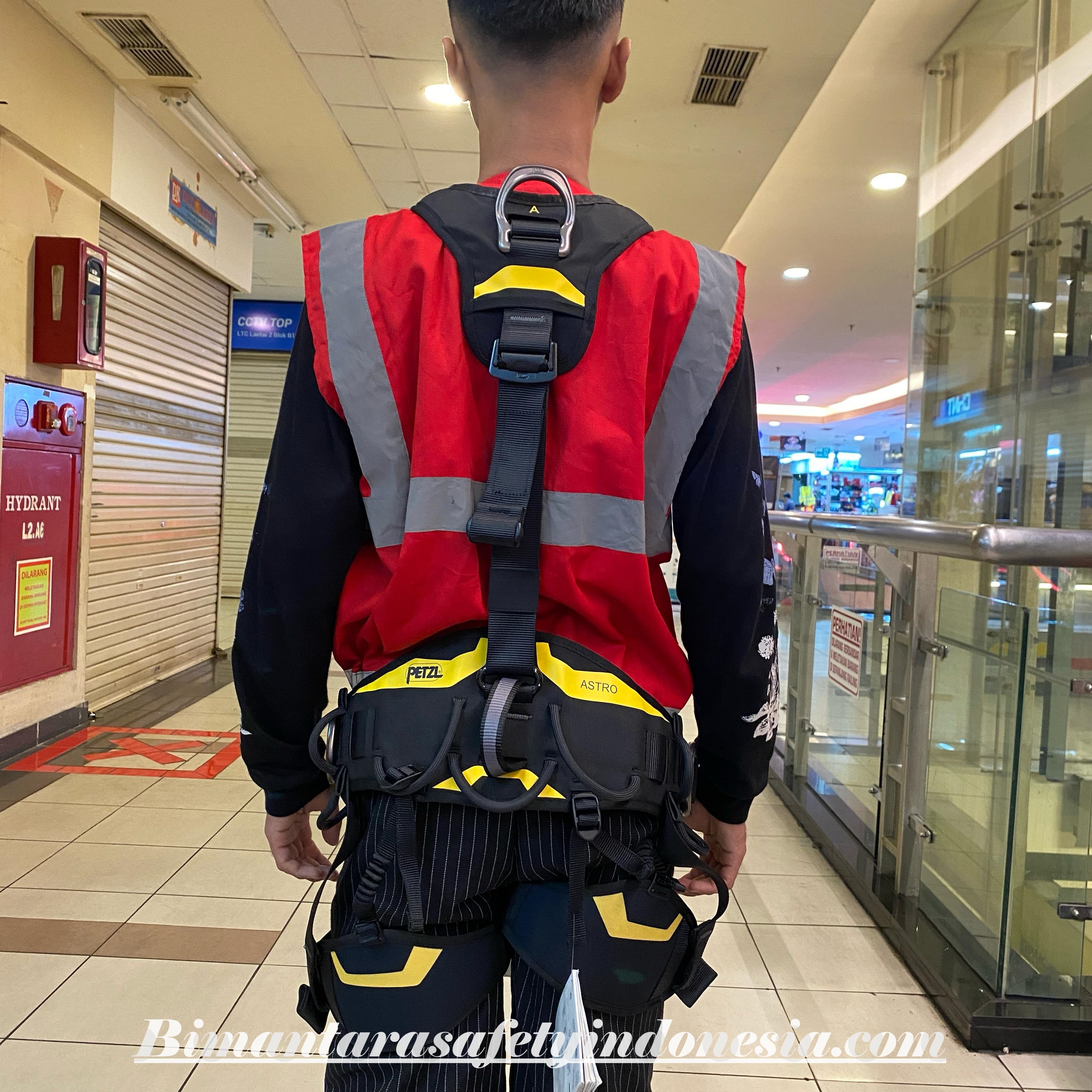 Fullbody Harnes Petzl Astro International